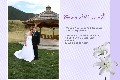 結婚の写真テンプレート photo templates 恋仲に贈るお祝いカード2